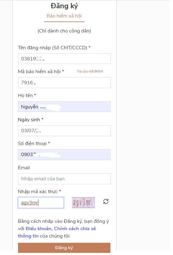 vt2.png